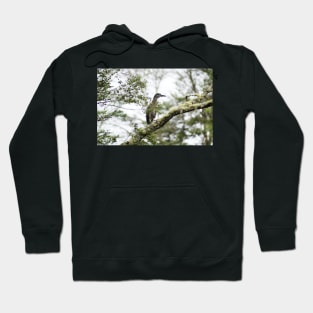 elb night heron Hoodie